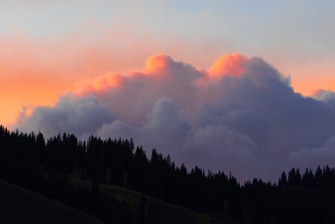 Welcome to Westwood Lakes Homeowners Association!